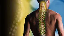 Spine Surgery-vishalsurgical.com